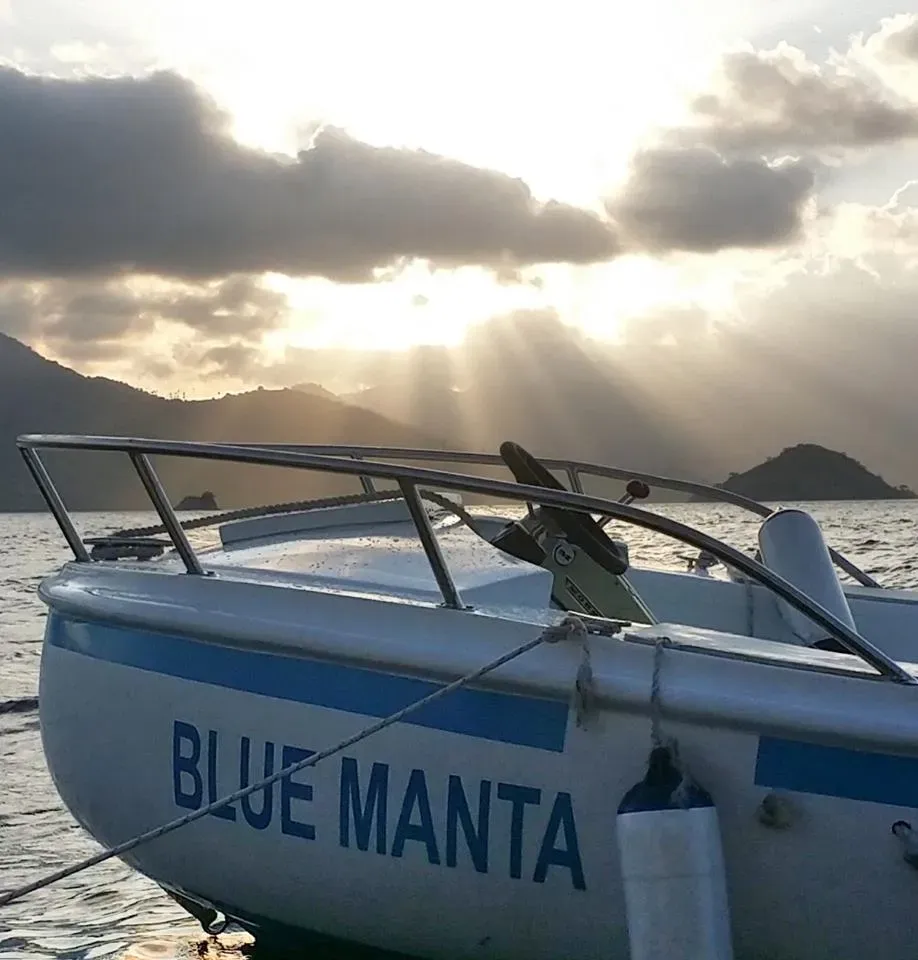Blue Manta Tender