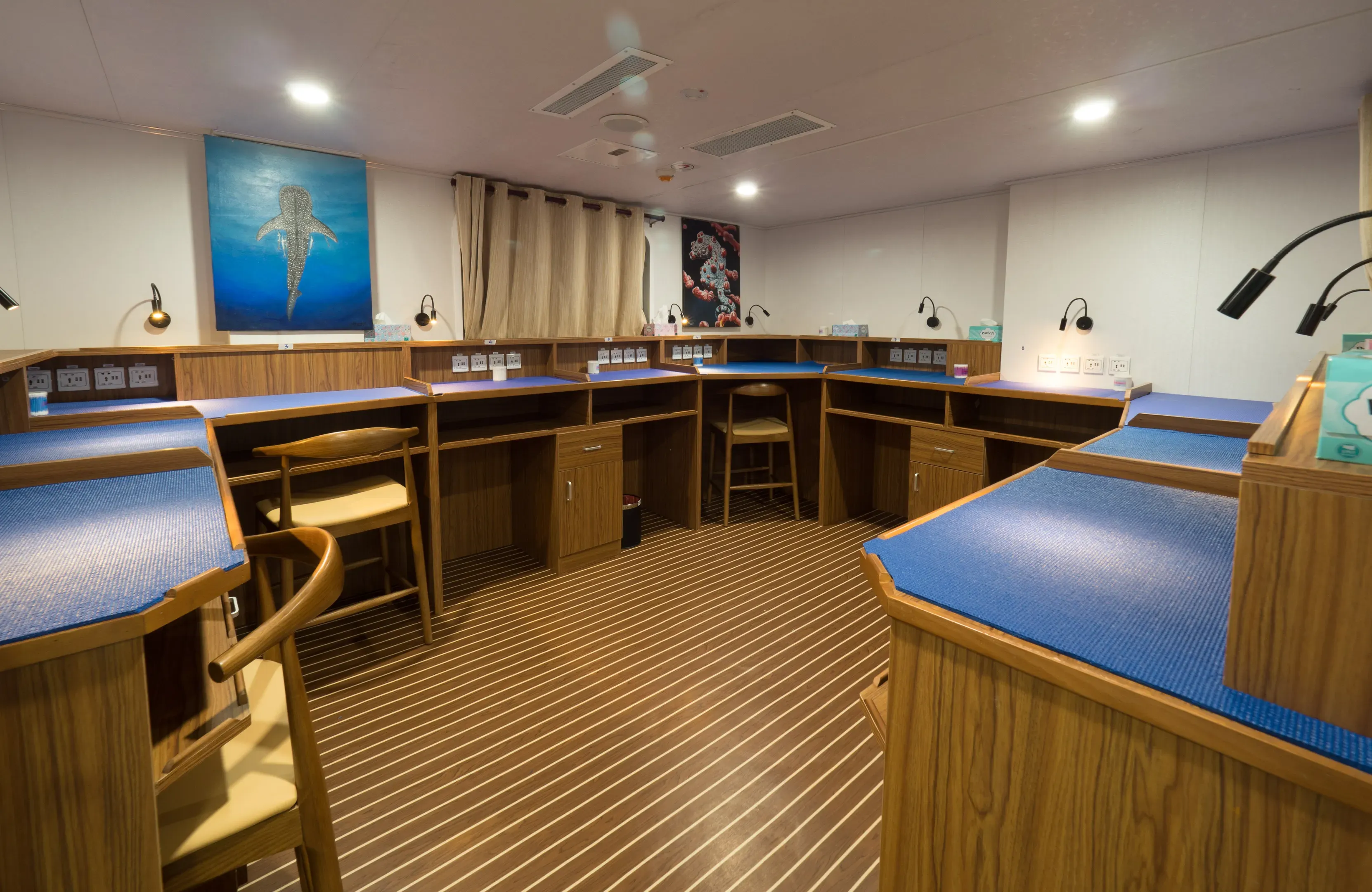 White Manta Camera Room