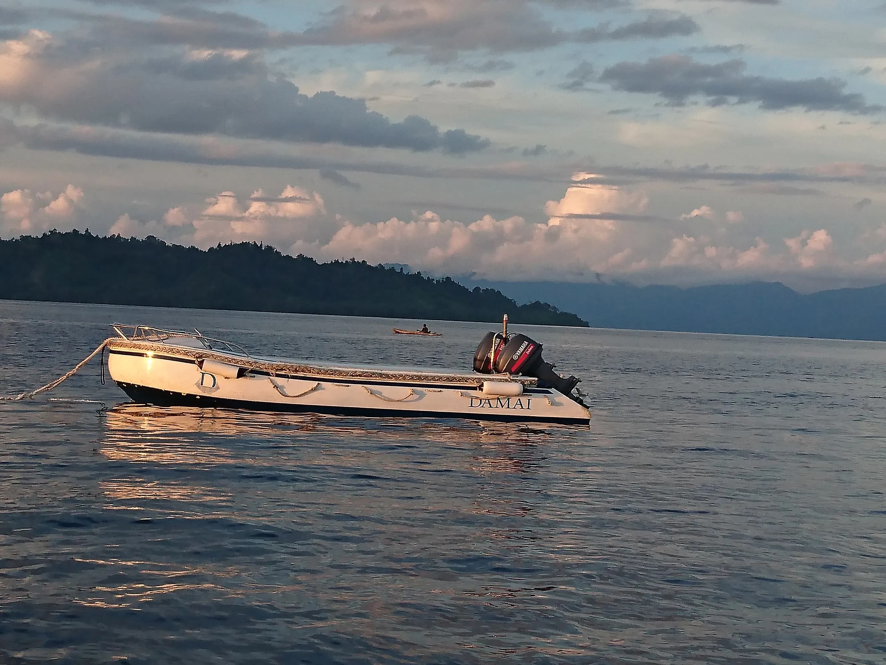 Damai II Tender