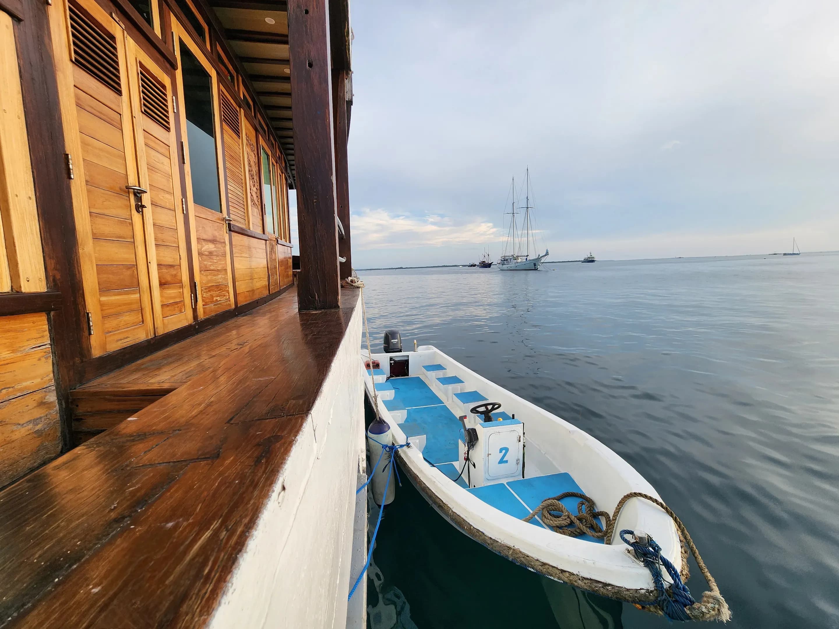 Dancing Wind Dive Tender
