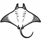 Manta Rays