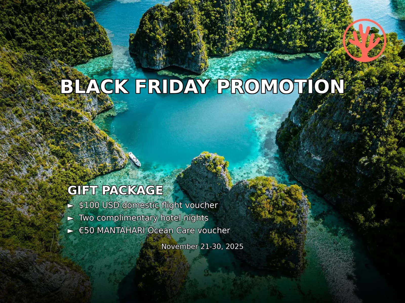 Black Friday Promo