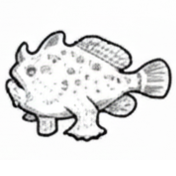 Poissons-grenouilles
