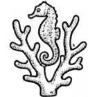 Hippocampe pygmée